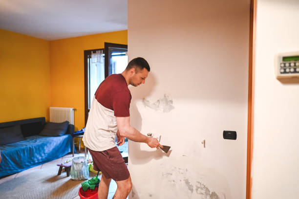 Professional Mold Removal in Mount Vernon, KY